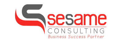 Sesame Consulting – Business Success Partner